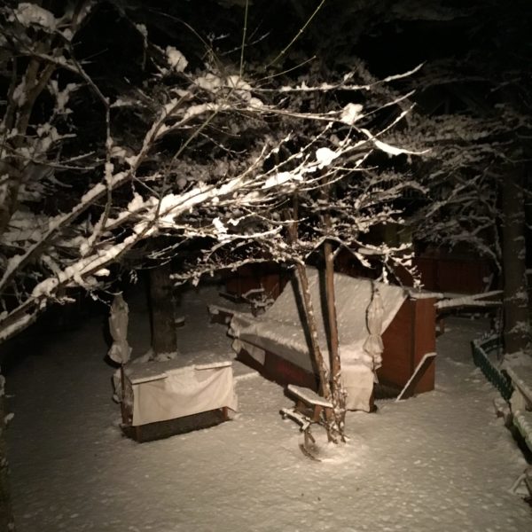 初雪⛄️ サムネイル