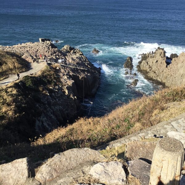 【軽井沢　貸別荘ハンモック】【🏮呑み処　魚吉】オーナーブログ サムネイル
